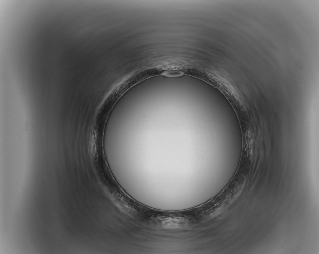 X0000116820400200912241245