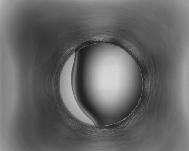 X0000116820403200912241245