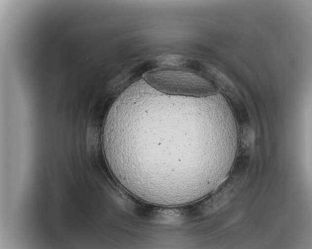 X0000116820409200912241245