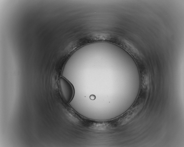 X0000116820414200912241244