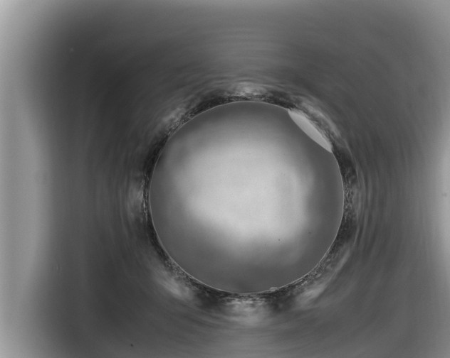 X0000116820415200912241244