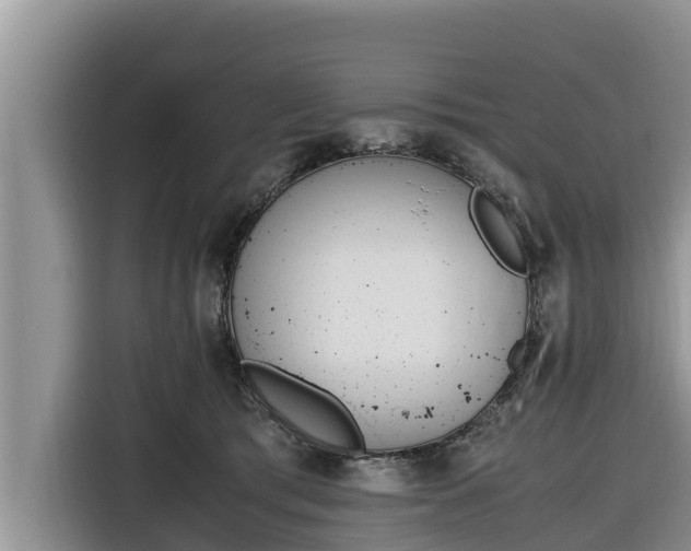 X0000116820417200912241244