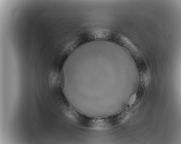 X0000116820419200912241244