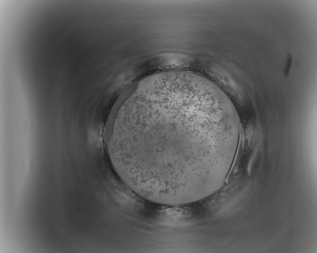 X0000116820423200912241244