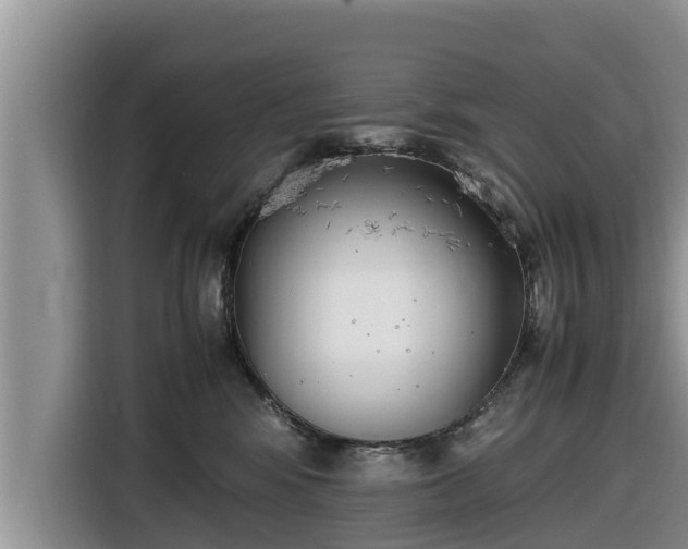 X0000116820424200912241244