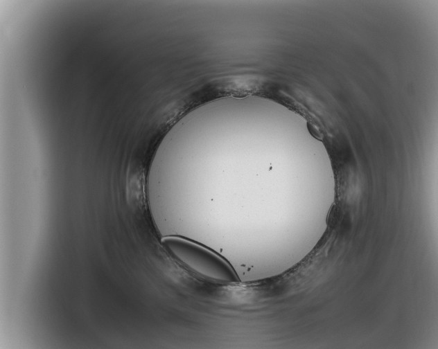 X0000116820425200912241244