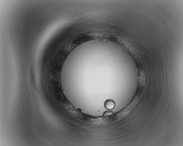 X0000116820430200912241244