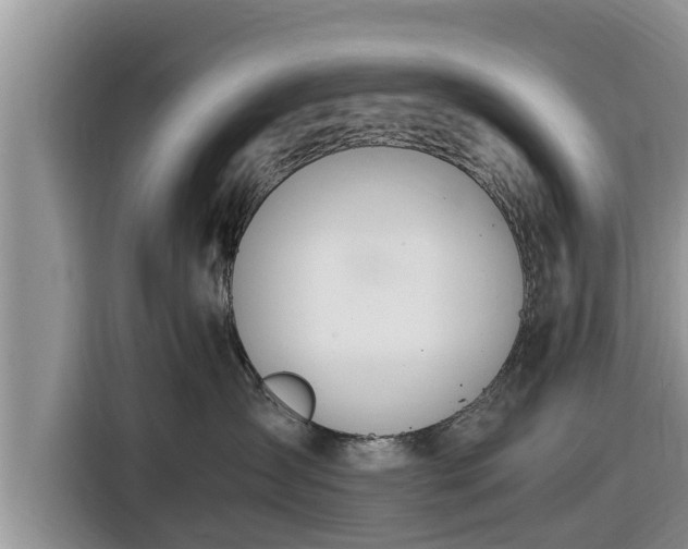 X0000116820431200912241244