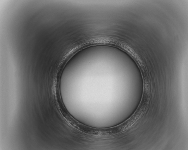 X0000116820434200912241244