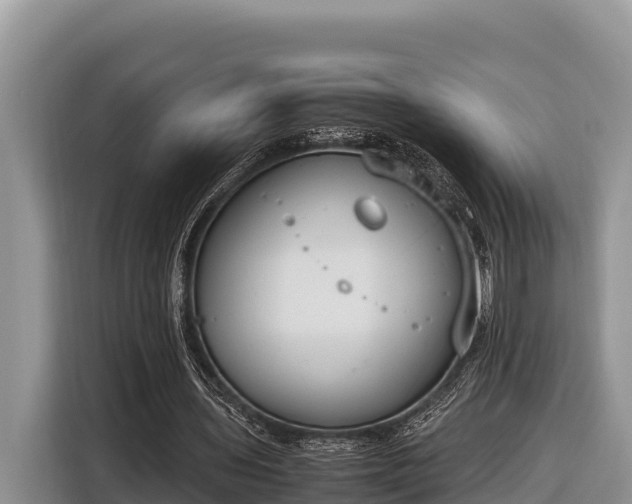 X0000116820435200912241244