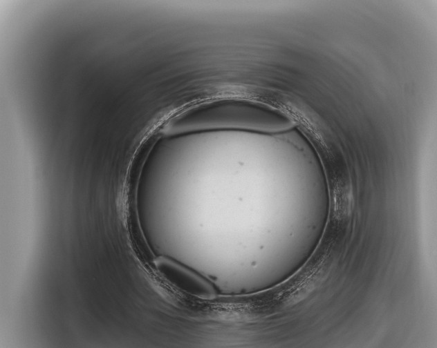 X0000116820436200912241244