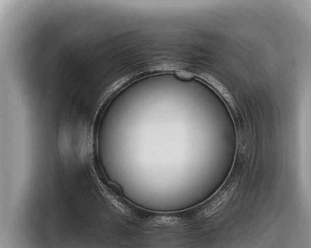 X0000116820437200912241244