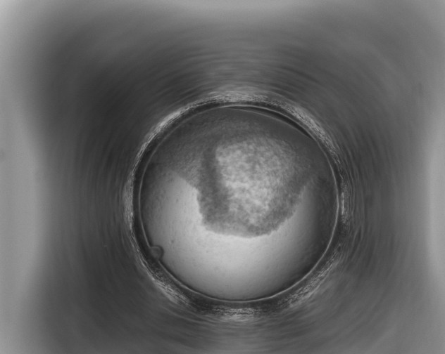 X0000116820438200912241244