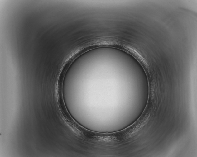 X0000116820439200912241244