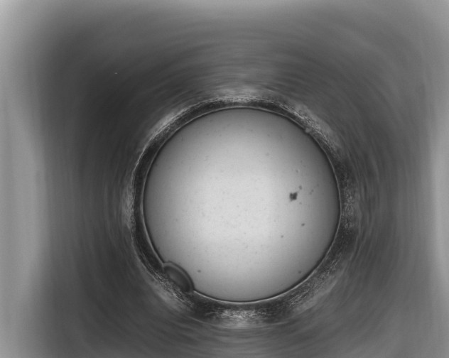 X0000116820440200912241244