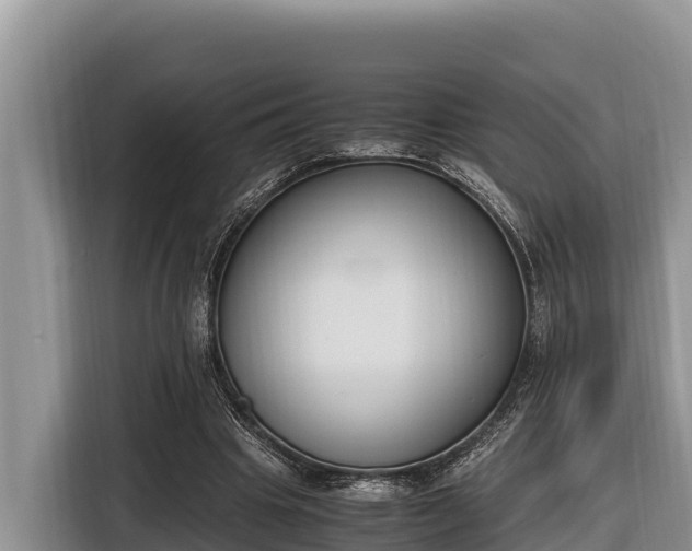 X0000116820441200912241244