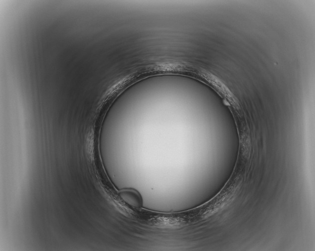 X0000116820442200912241244