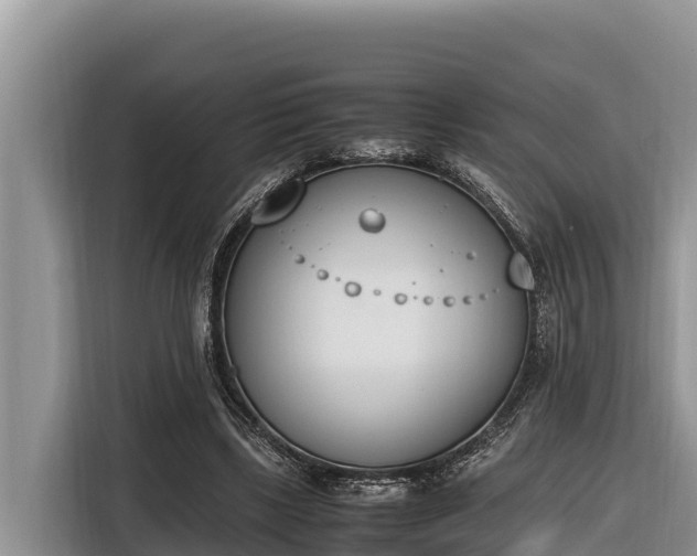 X0000116820443200912241244