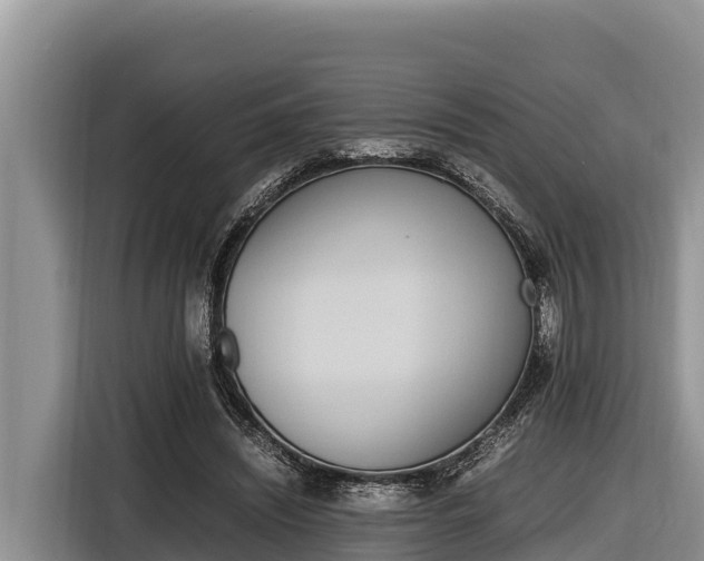 X0000116820444200912241244