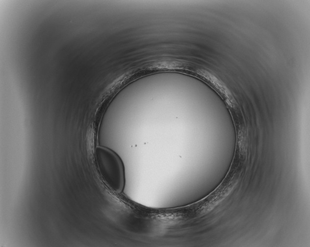 X0000116820445200912241244