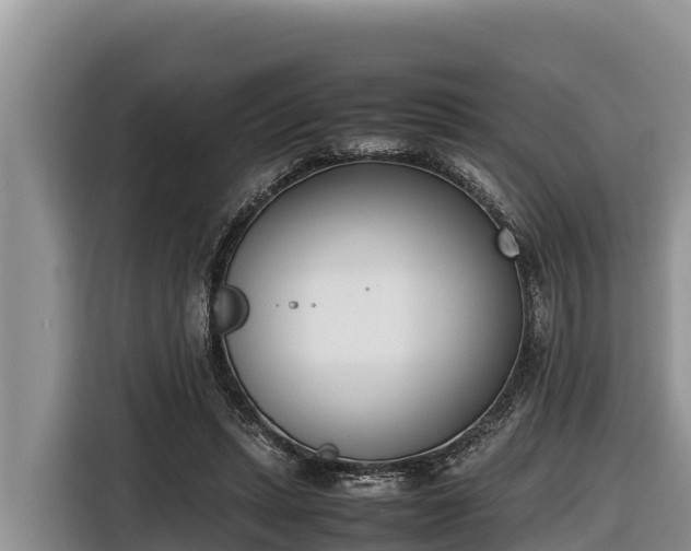 X0000116820447200912241244