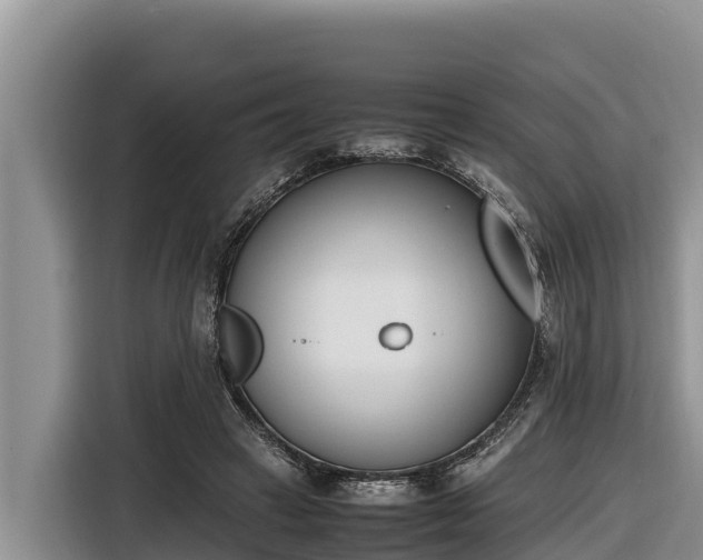 X0000116820449200912241244