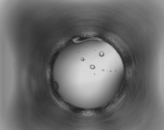 X0000116820451200912241244