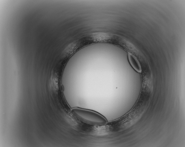 X0000116820452200912241244