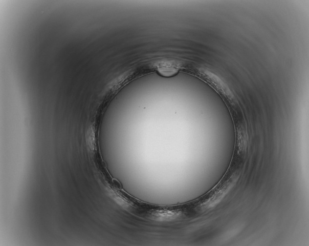 X0000116820453200912241244