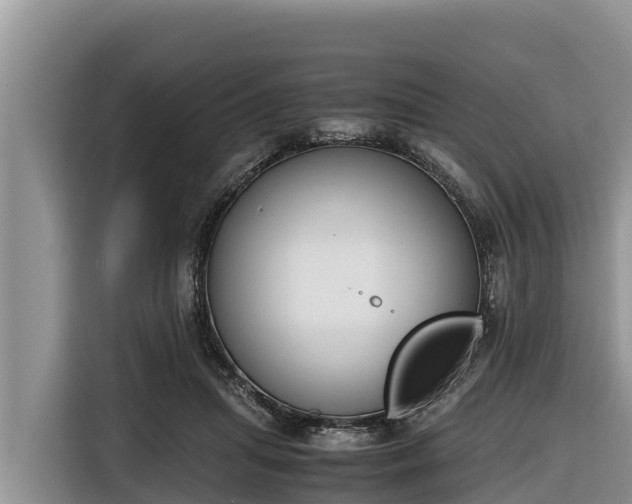 X0000116820455200912241244