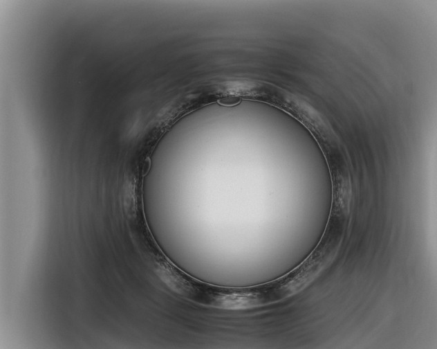 X0000116820461200912241244