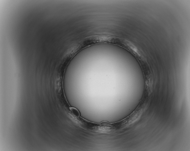 X0000116820462200912241244