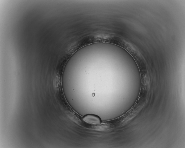 X0000116820463200912241244