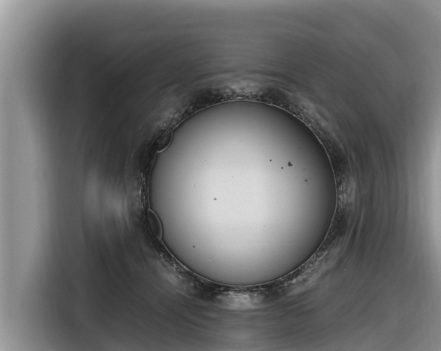 X0000116820464200912241244