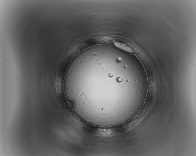 X0000116820469200912241244