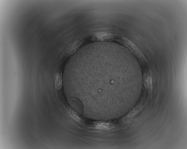 X0000116820471200912241244