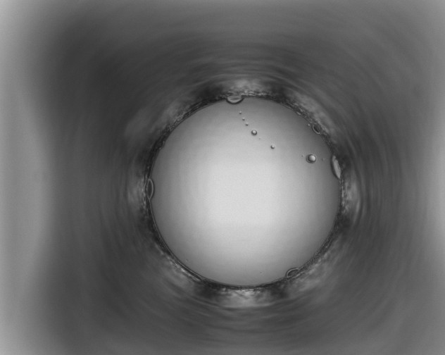 X0000116820473200912241244