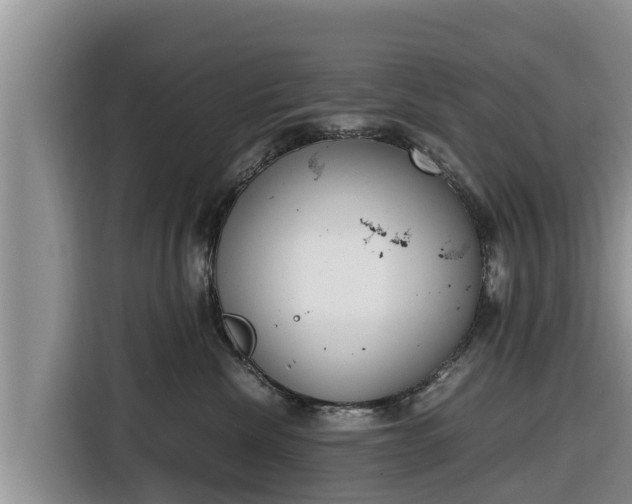 X0000116820476200912241244