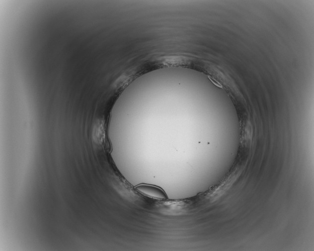 X0000116820478200912241244