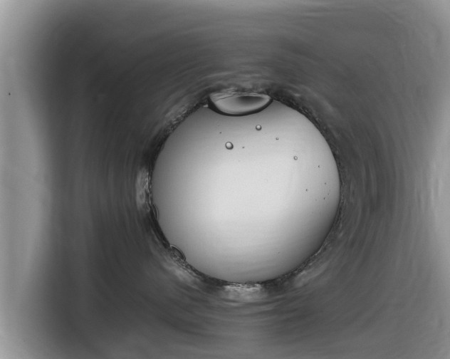 X0000116820480200912241244