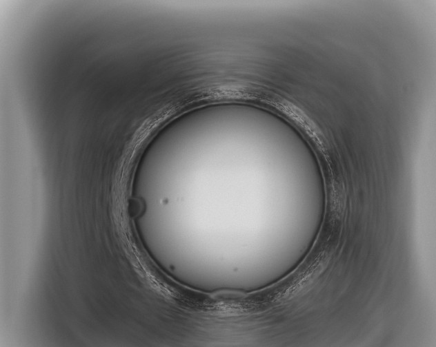 X0000116820481200912241244