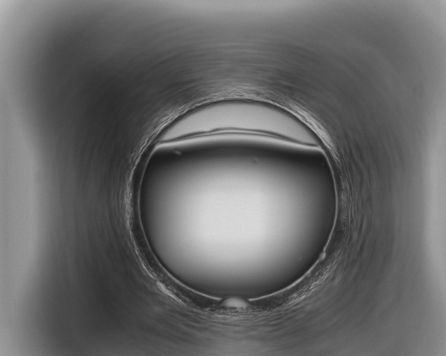 X0000116820485200912241244