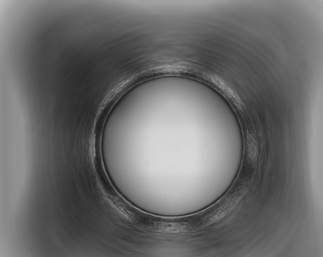 X0000116820486200912241244