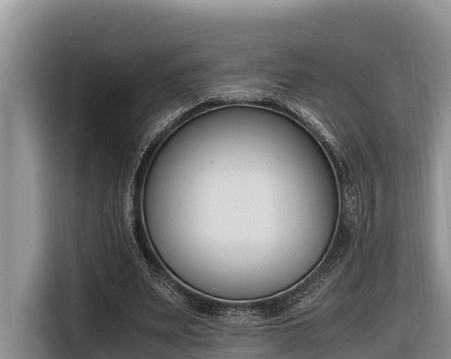 X0000116820487200912241244