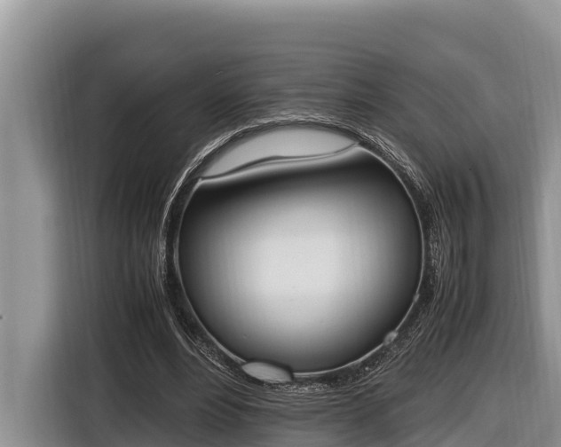 X0000116820488200912241244