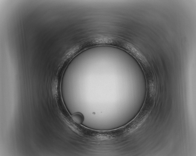 X0000116820490200912241244