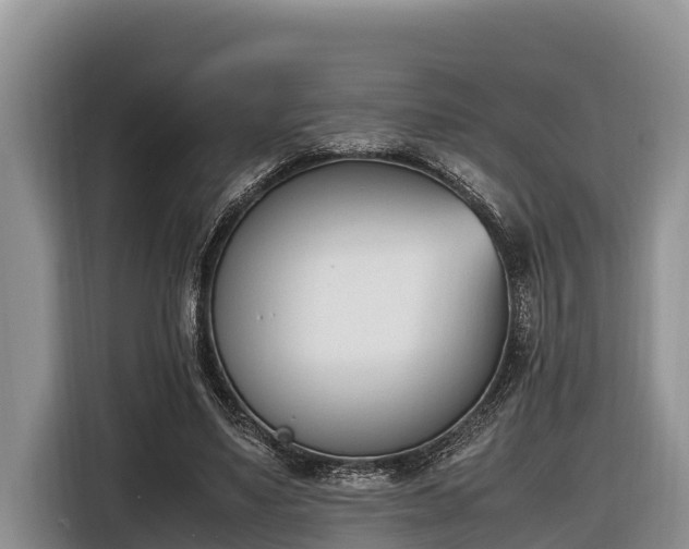 X0000116820491200912241244