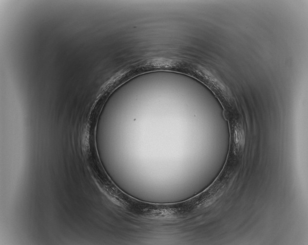 X0000116820492200912241243