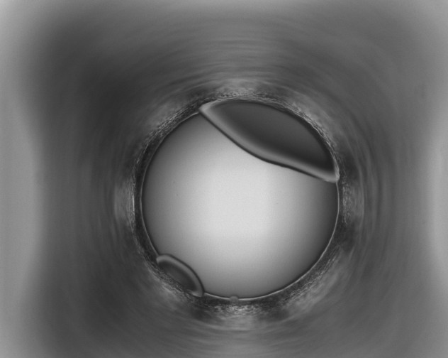 X0000116820493200912241243