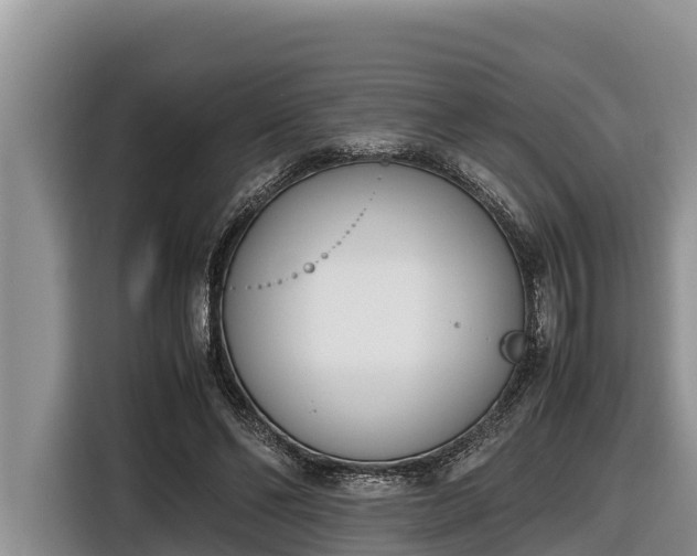 X0000116820494200912241243